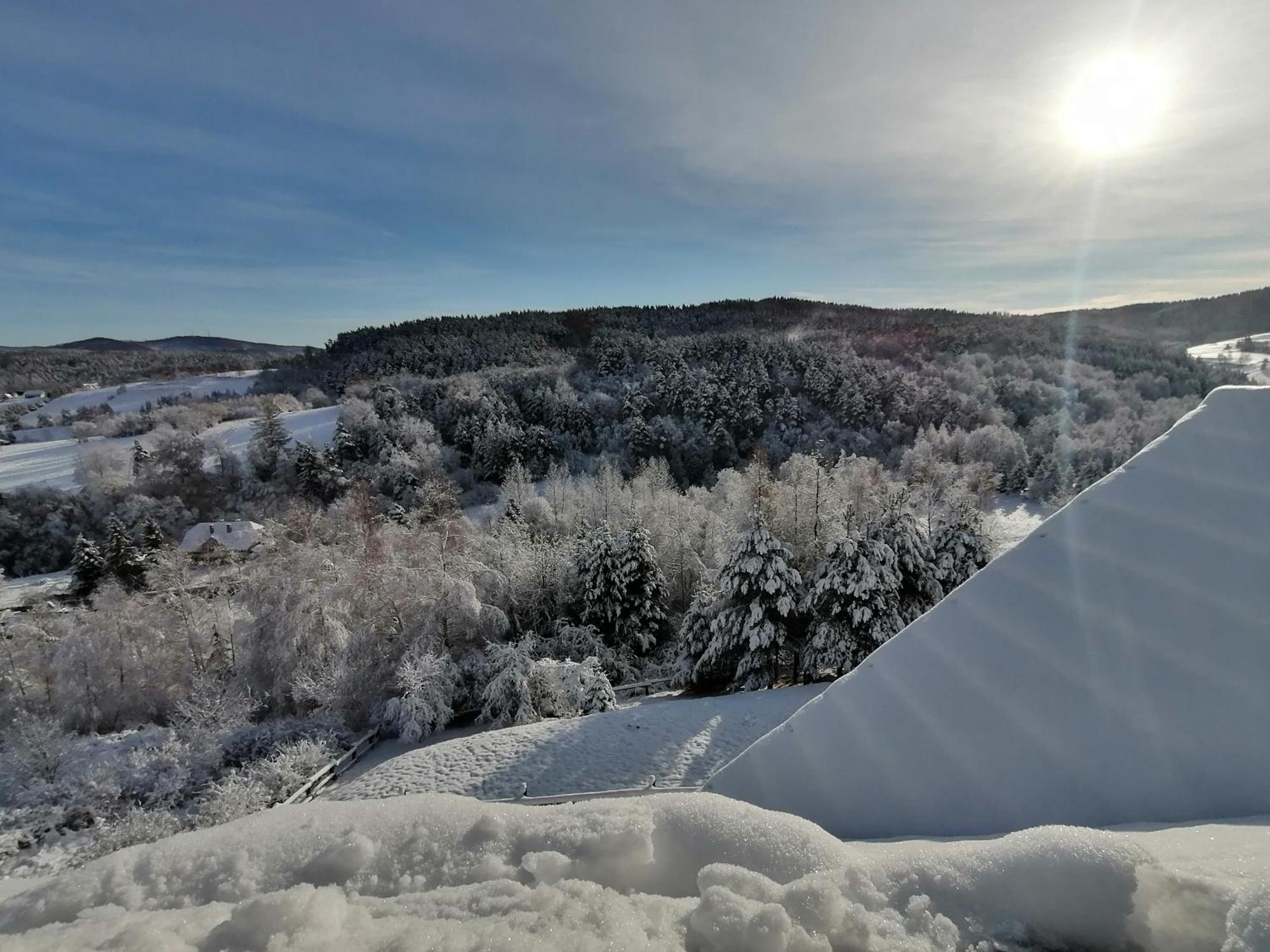 Chata W Bieszczadzie Apartamenty I Domki Z Sauna Bieszczady Polańczyk Exteriér fotografie