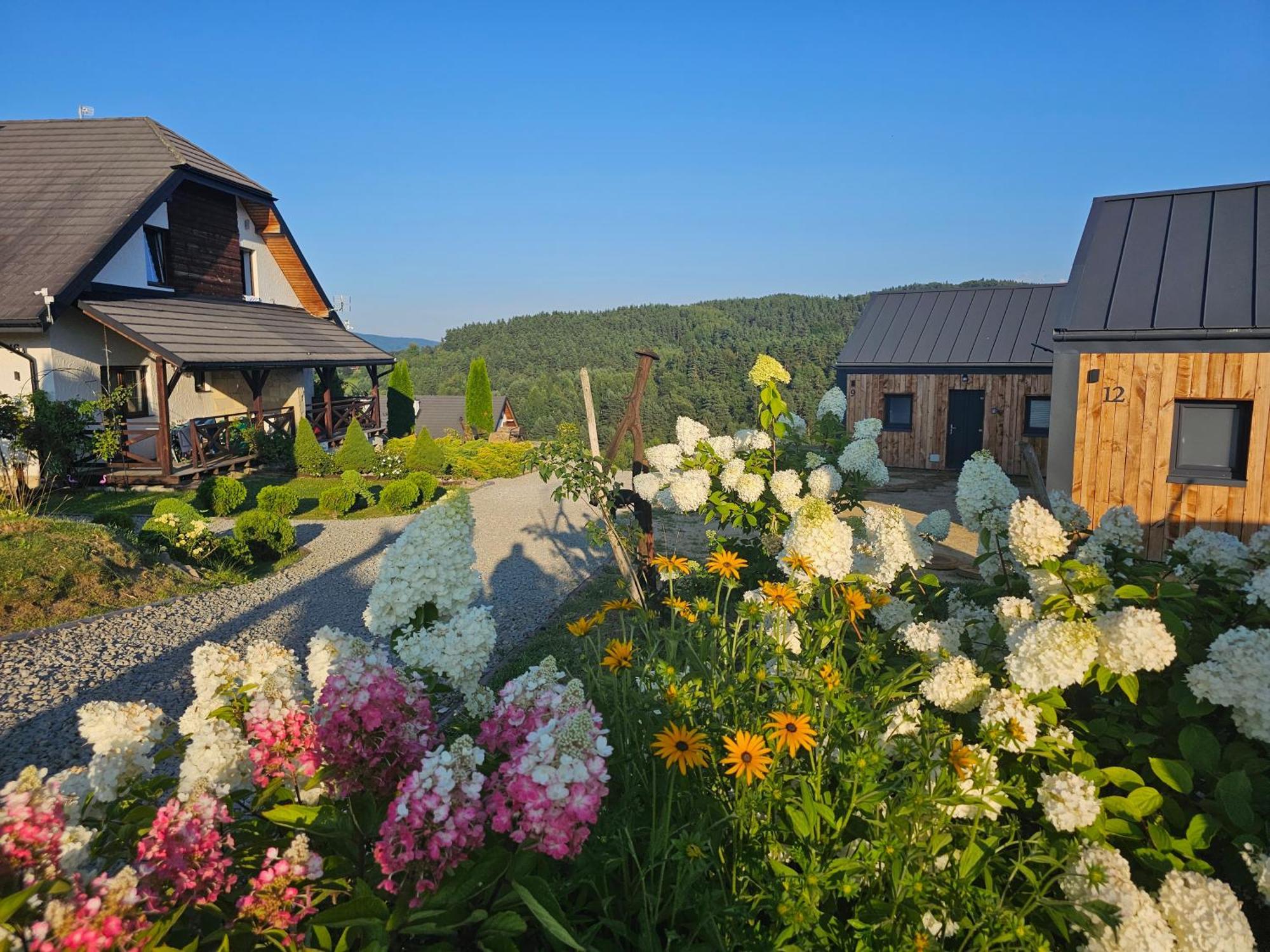 Chata W Bieszczadzie Apartamenty I Domki Z Sauna Bieszczady Polańczyk Exteriér fotografie