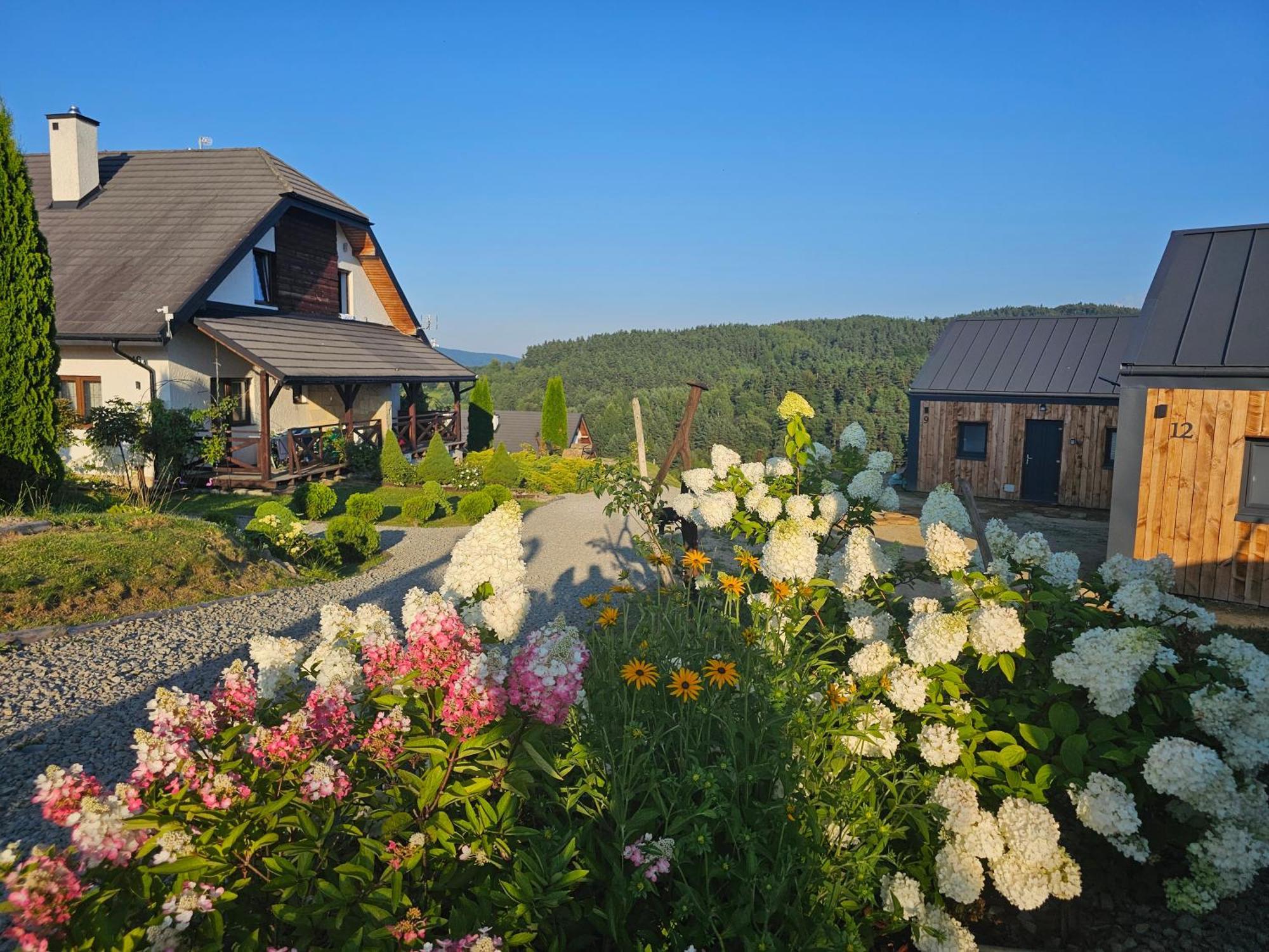 Chata W Bieszczadzie Apartamenty I Domki Z Sauna Bieszczady Polańczyk Exteriér fotografie