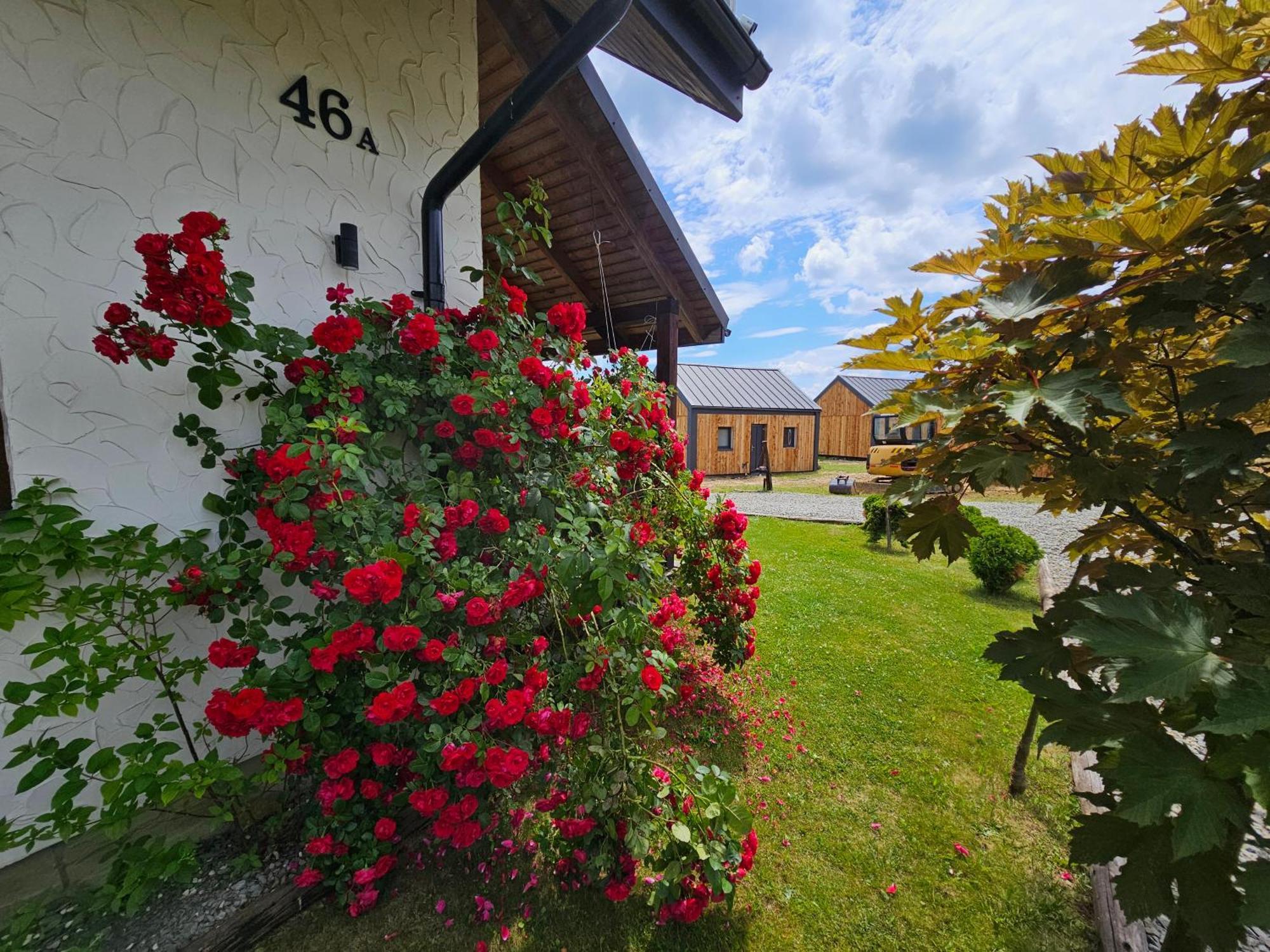 Chata W Bieszczadzie Apartamenty I Domki Z Sauna Bieszczady Polańczyk Exteriér fotografie